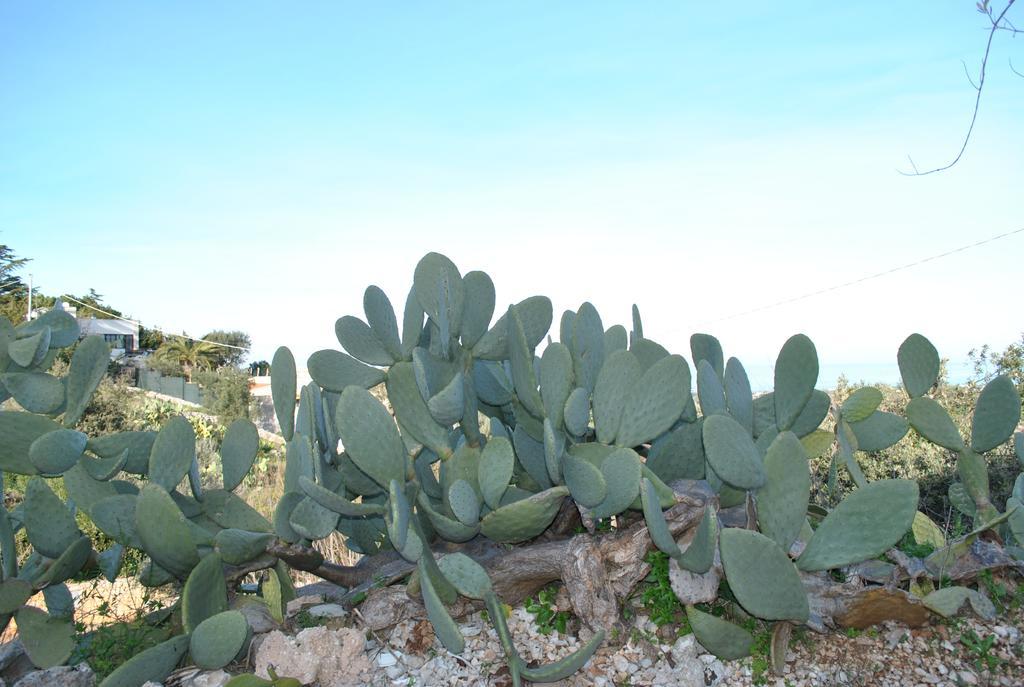 Le Dimore Del Sarto Polignano A Mare Exterior photo